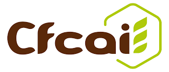 Logo CSE CFCAI